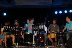 sommerzkonzert13__214_20130809_1153649475