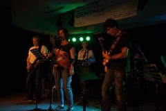 sommerkonzert_14_152_20140802_2046689353