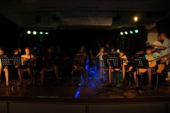 sommerkonzert_2015_30_20150714_1357214249