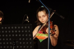 sommerkonzert_2015_81_20150714_1847934298