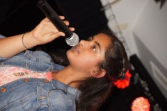 sommerkonzert-2016_124_20160801_1825411511