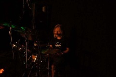 sommerkonzert-2016_130_20160801_1235856517