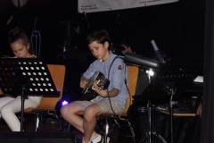 sommerkonzert-2016_147_20160801_2022436596
