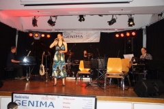sommerkonzert-2016_180_20160801_1916106618