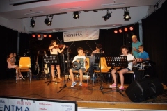 sommerkonzert-2016_84_20160801_1003242312
