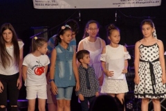 sommerkonzert_2017_2_20170721_1559205839